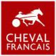Graphiste pour Cheval Français